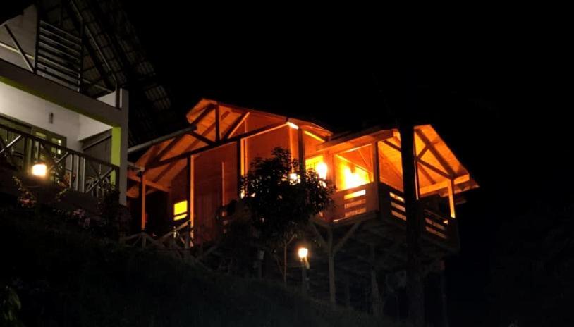 Resort Woodrose